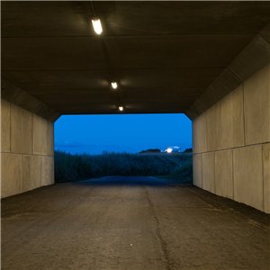 Lámpara AL 600 outdoor techo Louis Poulsen