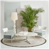 Alfombra K-Lim Kartell