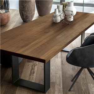 Mesa Newton Squared Riva1920