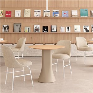 Silla Aleta base metálica Viccarbe