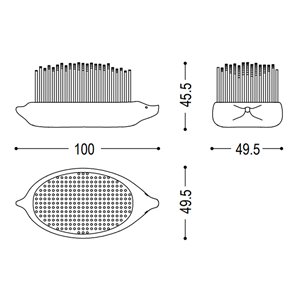 Banco Riccio Riva1920