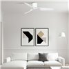 Ventilador Pemba Faro Barcelona