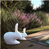 Silla Rabbit Qeeboo