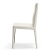 Silla Agatha Flex Cattelan Italia