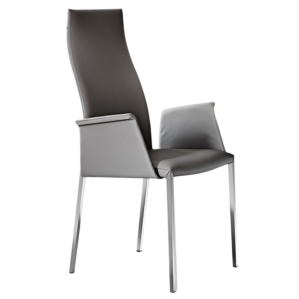 Silla Norma ML Alta Brazos Cattelan Italia