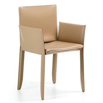 Silla Piuma Brazos Cattelan Italia