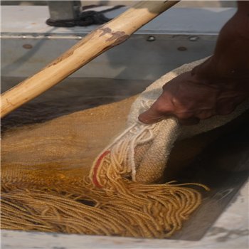 Alfombra Matiz Panel Mustard