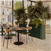 Silla Pecan con asiento tapizado Punt