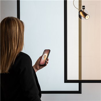 Lámpara Suspensión Discovery Spot Artemide