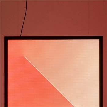 Discovery Dialogue - Negro