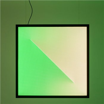 Discovery Dialogue - Negro