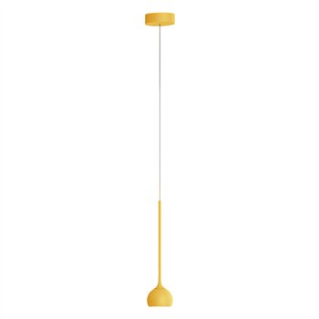 Ixa amarillo