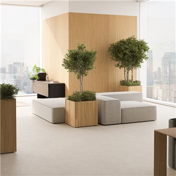 Macetero Coverage Punt