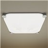 Aplique Bolla Martinelli Luce