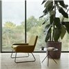 Silla Coco Softline