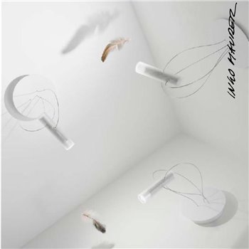Aplique pared/techo Bruce Springsteel Ingo Maurer