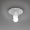 Teti Artemide